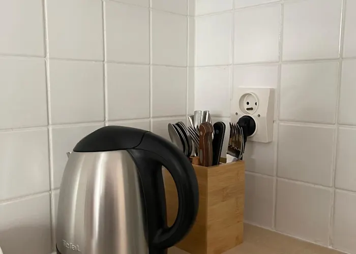 Coeur De Apartament Nicea